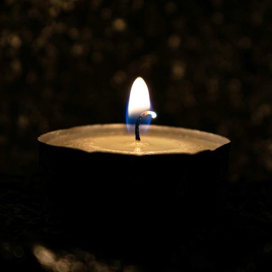 The candles cast a warm, inviting glow, enhancing the room's natural decor and green plants, symbolizing a commitment to sustainability and a healthy living environment.