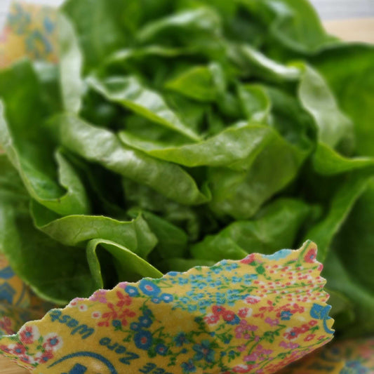 Fresh Lettuce Cradled in a Colorful BEE Zero Waste Beeswax Wrap