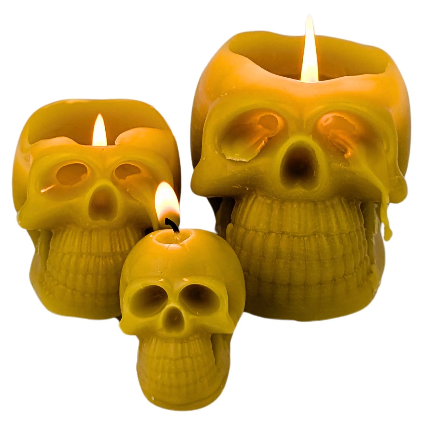 Skull candles for Halloween decorations and gothic themes.