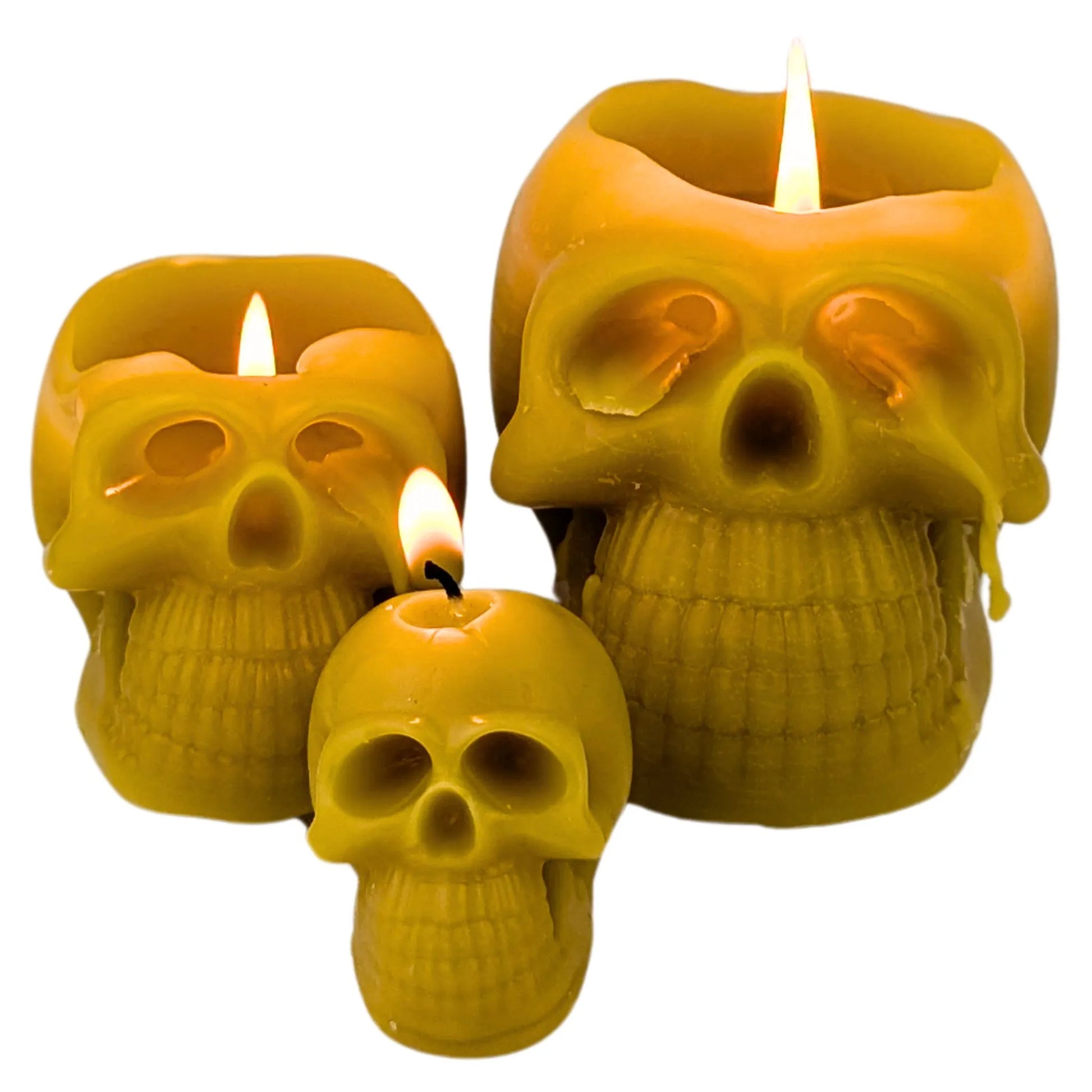 Skull candles for Halloween decorations and gothic themes.