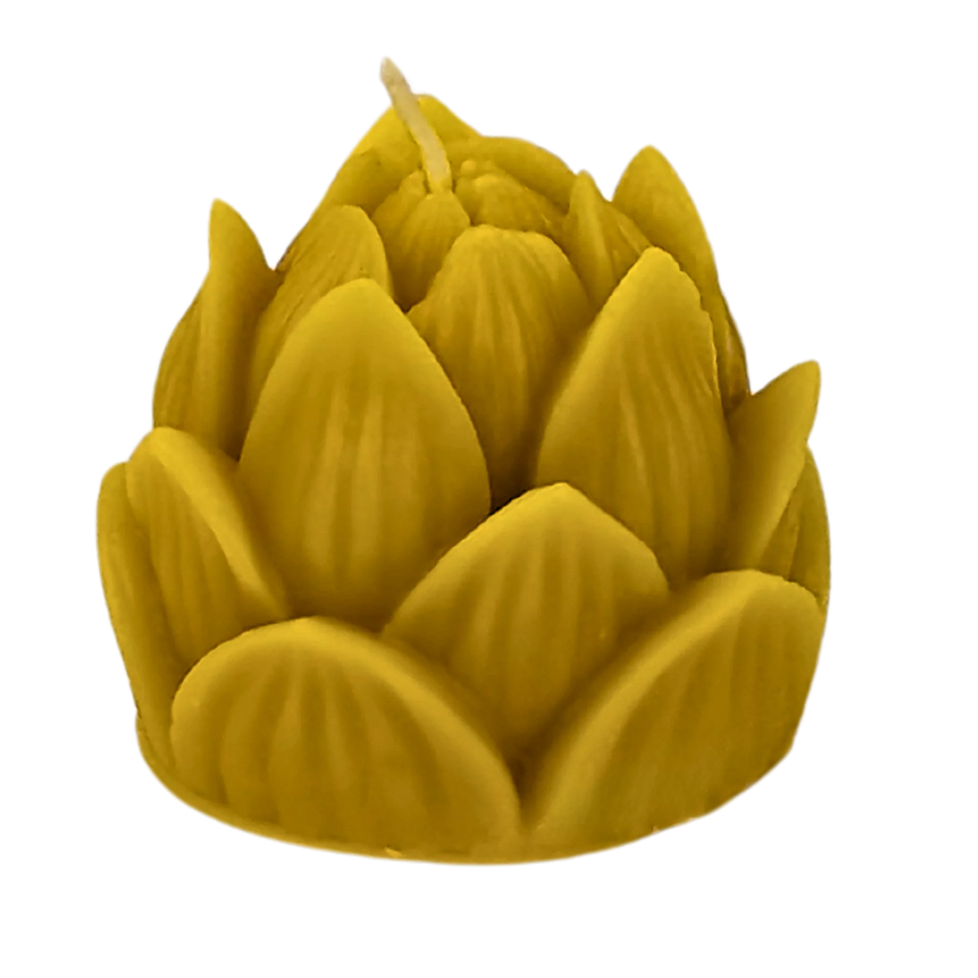 Sustainable beeswax candle crafted into an elegant lotus flower, enhancing any room with a soft glow.