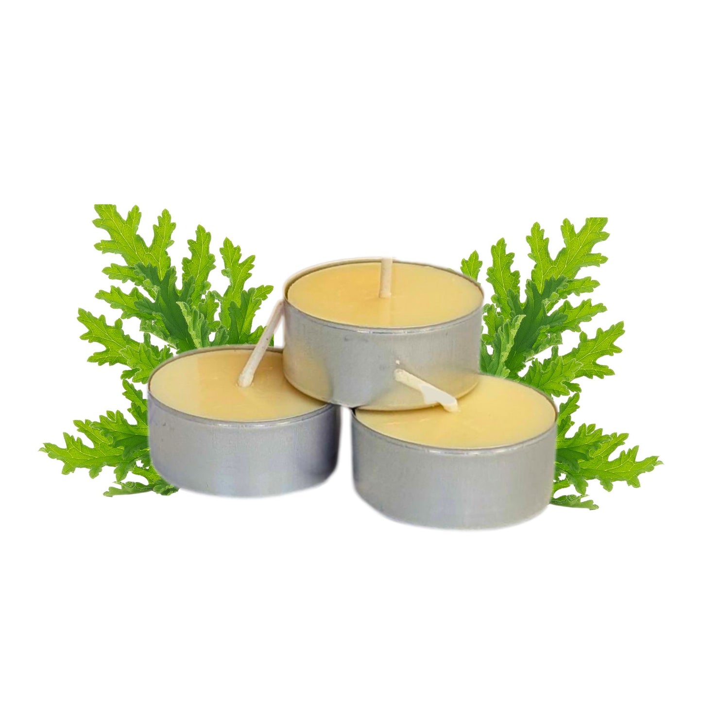 Natural Soy-Beeswax Scented Tealights - Box of 15