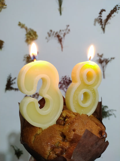 beeswax number candle, bees wax cake candles, pure beewax candle, birthday taper, tealights, 